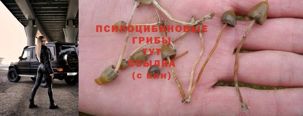 альфа пвп Верхнеуральск