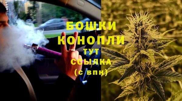 дживик Верея