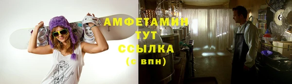 дживик Верхний Тагил