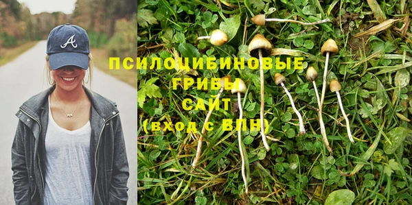 дживик Верея