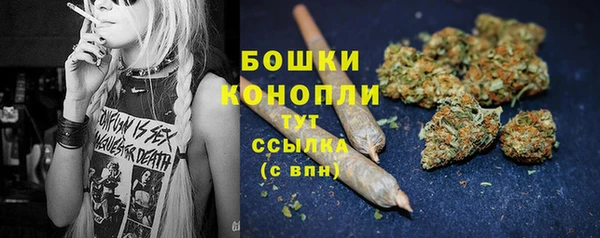 дживик Верхний Тагил