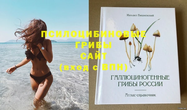 альфа пвп Верхнеуральск