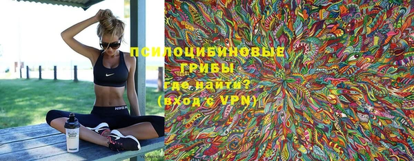 дживик Верхний Тагил