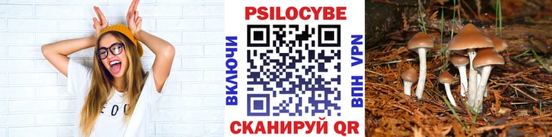 Купить где  Куса  Галлюциногенные грибы мухоморы 